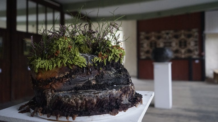 A sculpture of peat in a historic room